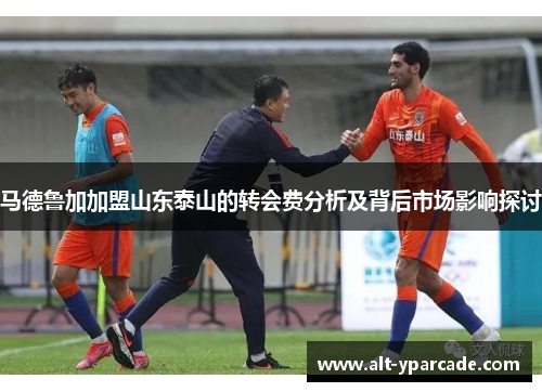 马德鲁加加盟山东泰山的转会费分析及背后市场影响探讨